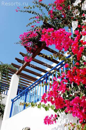 Aliathon Holiday Village 19